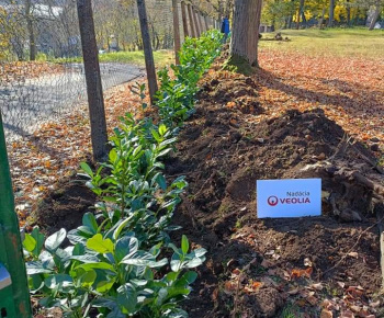 Aktuality / Sadili sme pre naše deti - foto