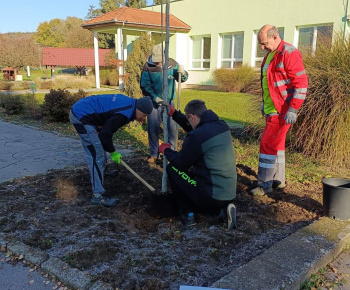 Aktuality / Sadili sme pre naše deti - foto